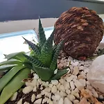Europa Hotel Selale Ξενοδοχείο Αττάλεια